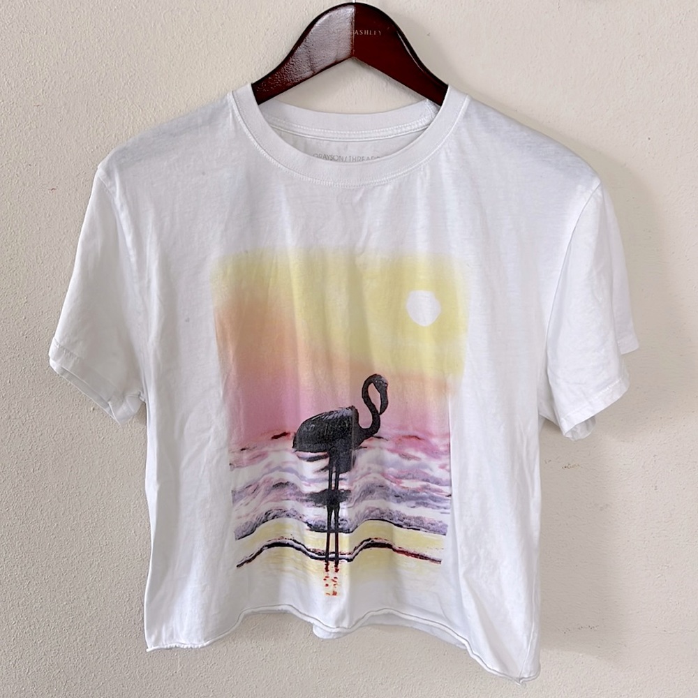 Grayson Threads Flamingo Crop Top